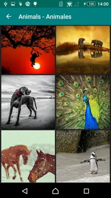 Free Wallpapers - Fondos De Pantalla HD android App screenshot 6